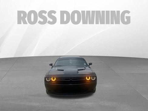 Used 2019 Dodge Challenger SXT RWD image 2