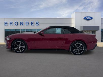 Used 2025 Ford Mustang Premium