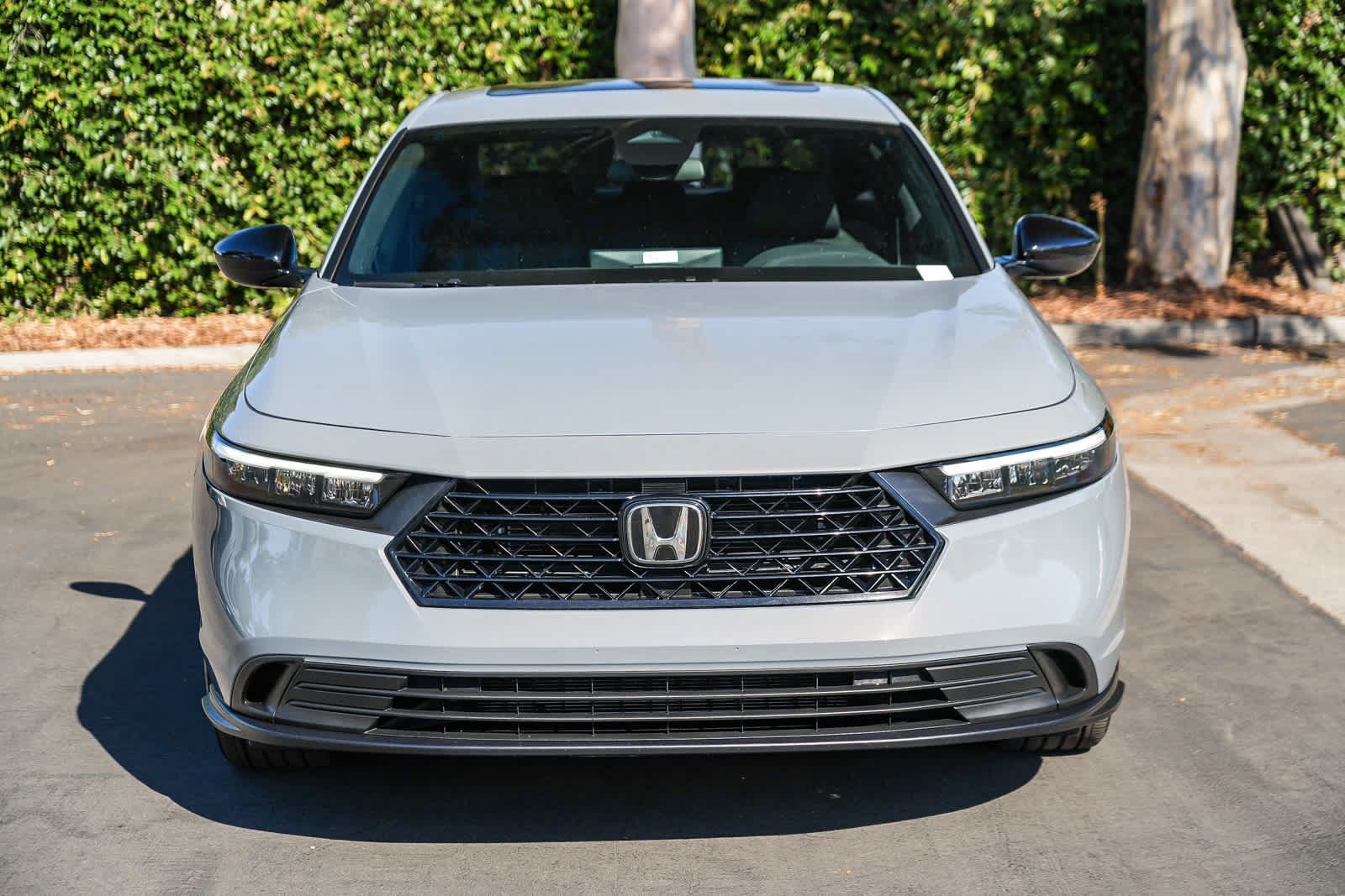 Used 2024 Honda Accord Sport image 4