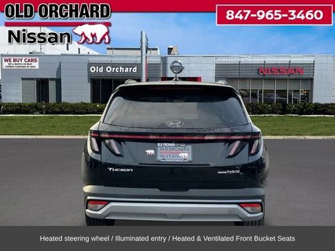 Used 2025 Hyundai Tucson Limited image 7