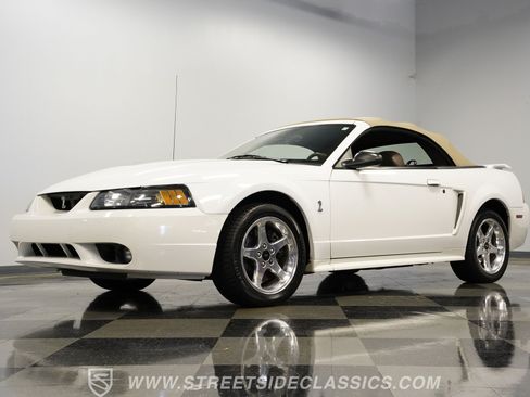 Used 2001 Ford Mustang Cobra RWD image 15