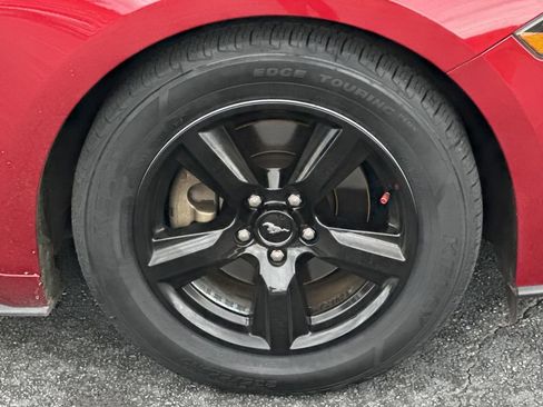 Used 2019 Ford Mustang Coupe image 12