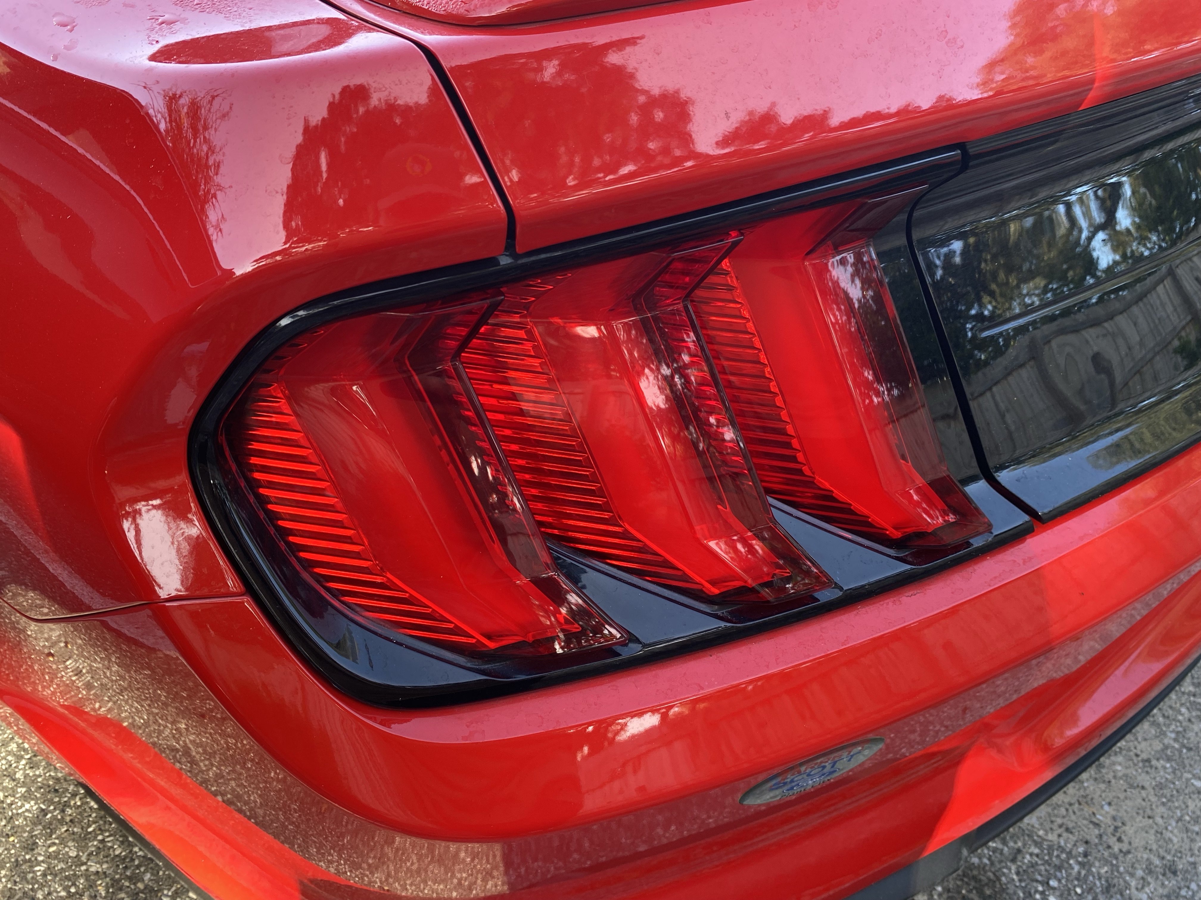 Used 2018 Ford Mustang Premium w/ Equipment Group 201A RWD image 11
