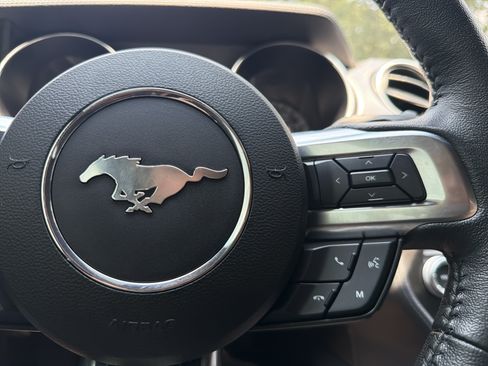 Used 2019 Ford Mustang Coupe w/ Equipment Group 101A RWD image 23