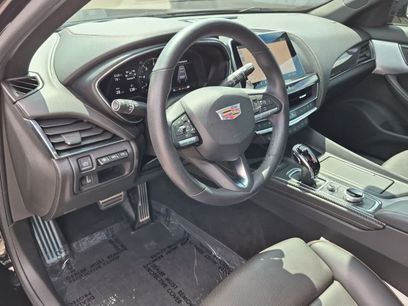 Used 2024 Cadillac CT5 Sport w/ LPO, Red Accent Package