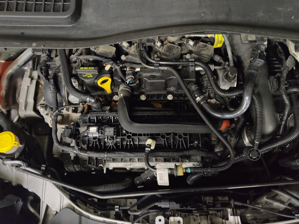 Used 2019 Ford Escape SE FWD image 30