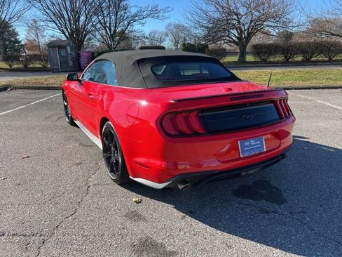 Certified 2019 Ford Mustang Premium w/ Equipment Group 201A image 7