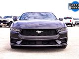 Used 2024 Ford Mustang Coupe image 4