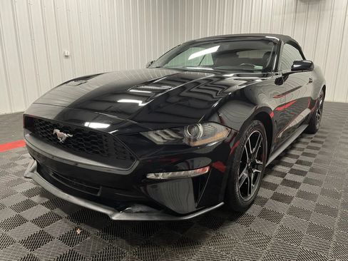 Used 2019 Ford Mustang Premium image 13