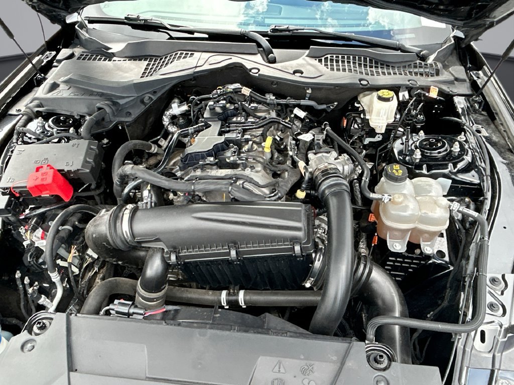 Used 2024 Ford Mustang Premium RWD image 27