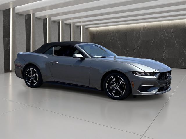 Used 2025 Ford Mustang Premium RWD image 8