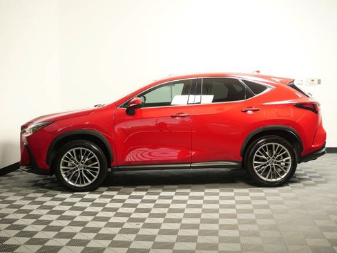 Certified 2025 Lexus NX 350 AWD w/ Cold Area Package image 5