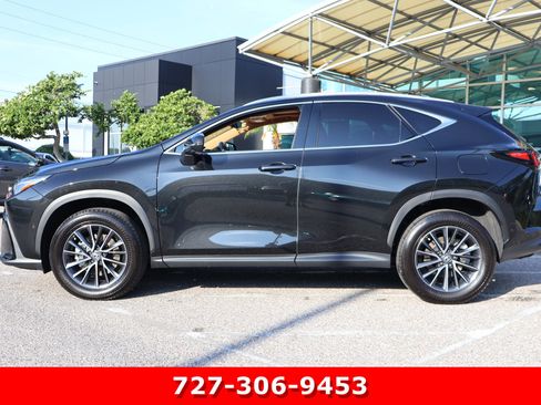 Used 2025 Lexus NX 350h AWD w/ Cold Area Package image 6