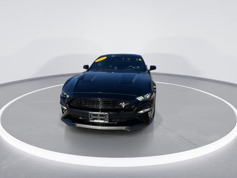 Used 2019 Ford Mustang GT Premium w/ Equipment Group 401A image 3