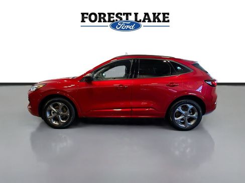 Used 2024 Ford Escape ST-Line w/ Equipment Group 301A image 4