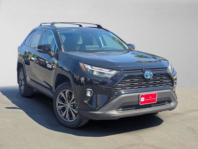 Certified 2024 Toyota RAV4 XLE Premium w/ Weather Package
