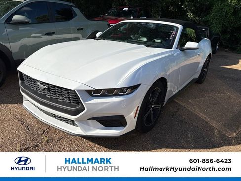 Used 2025 Ford Mustang Premium RWD image 1