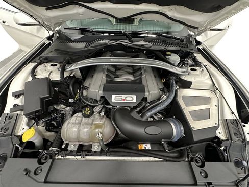 Used 2015 Ford Mustang 50 Years RWD image 13