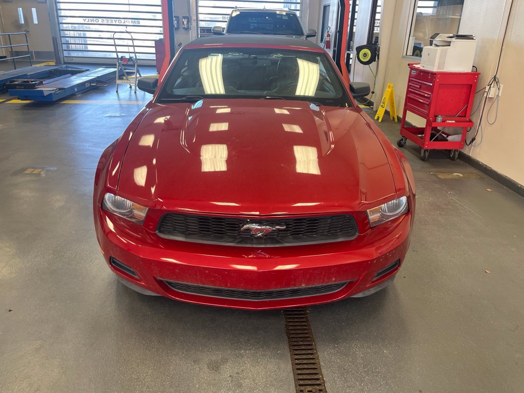 Used 2010 Ford Mustang Premium RWD image 10