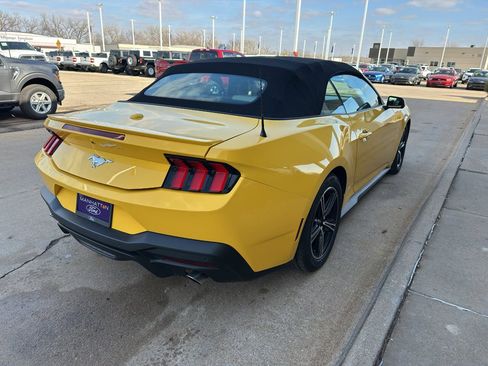 Used 2024 Ford Mustang Premium image 5