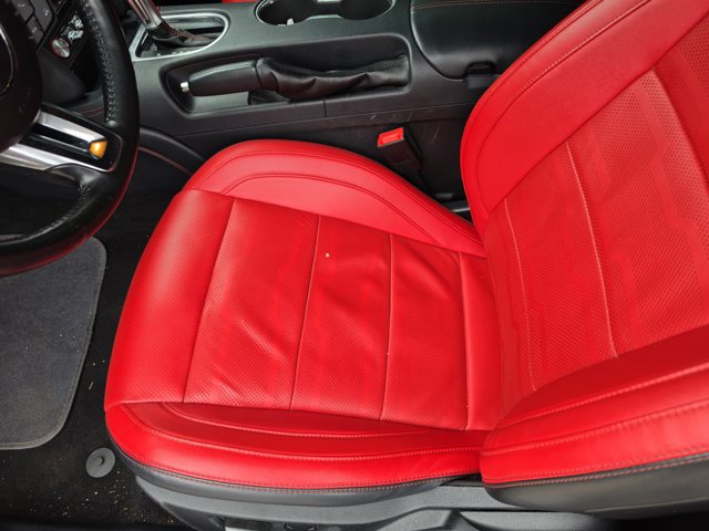 Certified 2019 Ford Mustang Premium w/ Equipment Group 201A RWD image 15