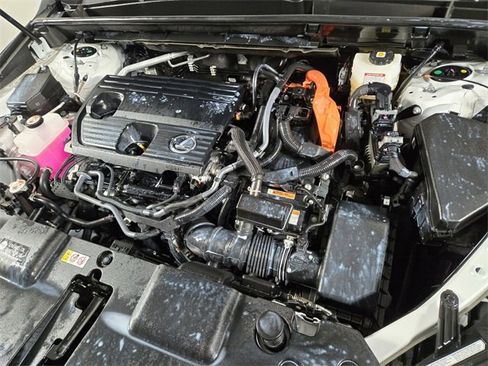 Certified 2025 Lexus NX 350h AWD w/ Cold Area Package image 26