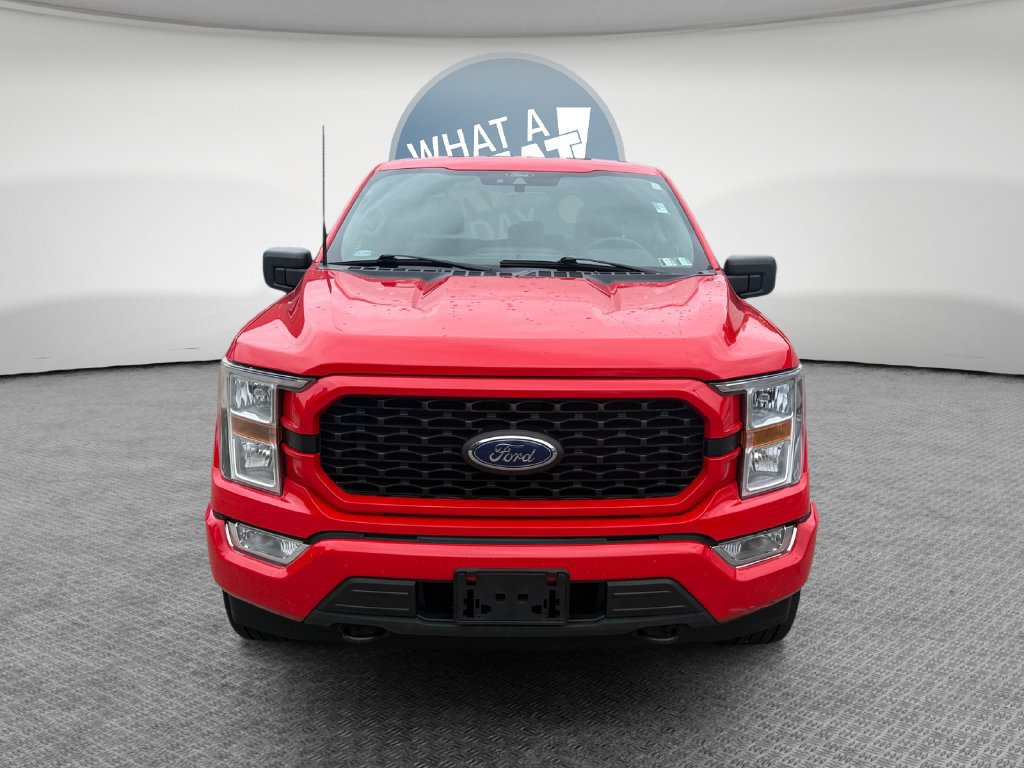 Used 2022 Ford F150 XL w/ STX Appearance Package AWD/4WD image 9