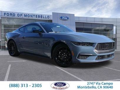 Used 2026 Ford Mustang Coupe w/ Mustang Nite Pony Package