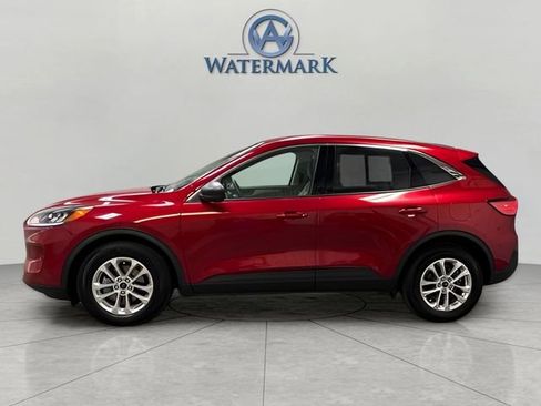 Used 2022 Ford Escape SE w/ Convenience Package image 2