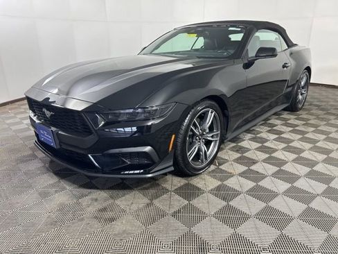 Certified 2025 Ford Mustang Premium w/ Wheel & Stripe Package image 3