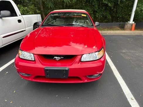 Used 1999 Ford Mustang Cobra RWD image 12