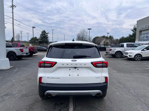 Used 2023 Ford Escape Platinum image 6
