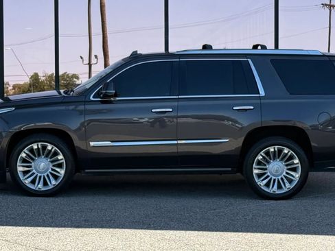 Used 2016 Cadillac Escalade Platinum RWD image 4