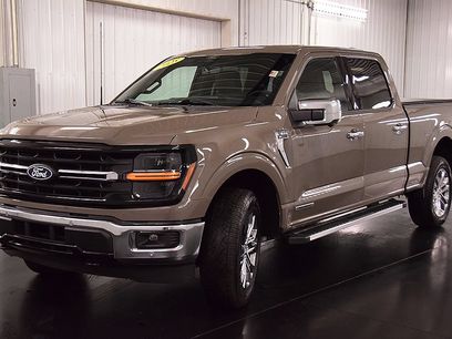 Used 2025 Ford F150 XLT w/ Equipment Group 302A MID