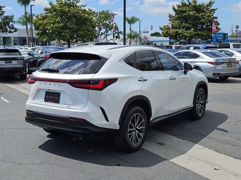 Used 2024 Lexus NX 350h AWD image 6