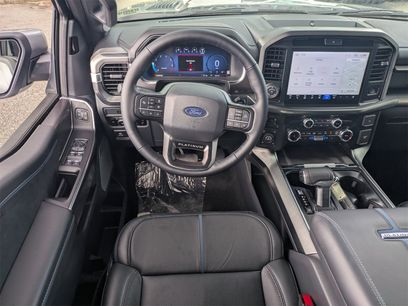New 2025 Ford F150 Platinum