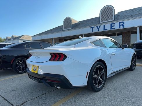 Used 2024 Ford Mustang Premium image 6