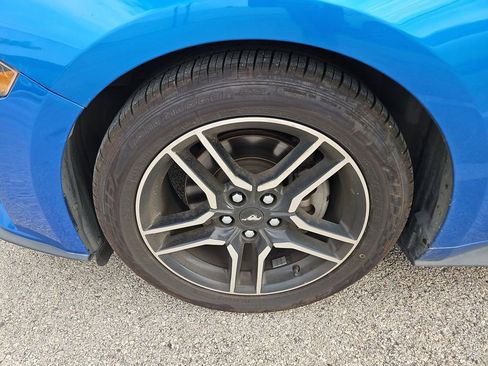 Used 2019 Ford Mustang Coupe w/ Equipment Group 101A RWD image 3