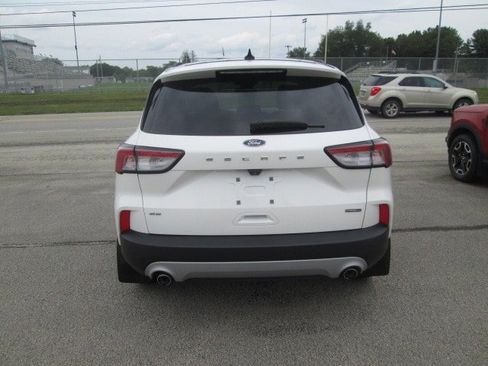 Used 2020 Ford Escape SE Sport image 3