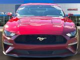 Used 2021 Ford Mustang Coupe w/ Equipment Group 101A image 2