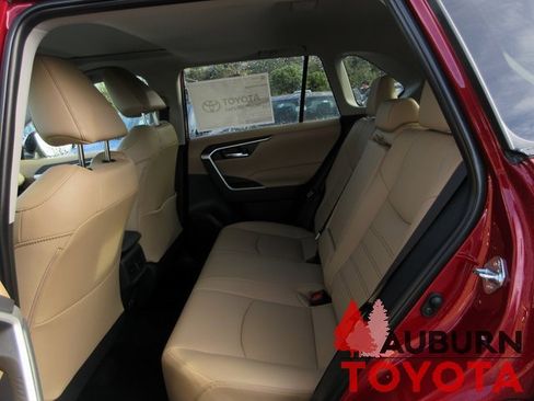 New 2025 Toyota RAV4 XLE Premium image 14