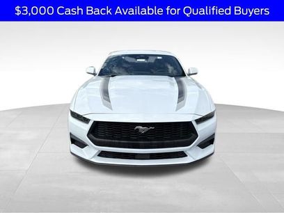 New 2025 Ford Mustang Coupe w/ Wheel & Stripe Package