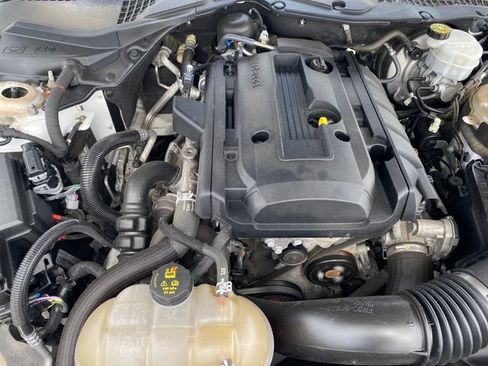 Used 2019 Ford Mustang Coupe w/ Equipment Group 101A RWD image 15