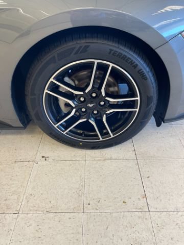 Used 2022 Ford Mustang Premium RWD image 29