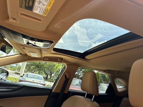 Certified 2024 Lexus NX 250 FWD w/ Cold Area Package image 22