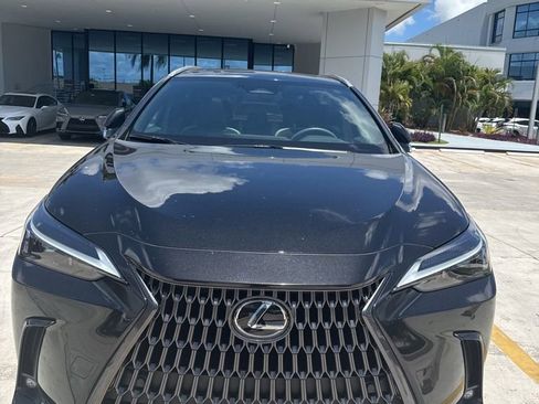 Used 2024 Lexus NX 250 FWD w/ Cold Area Package image 6