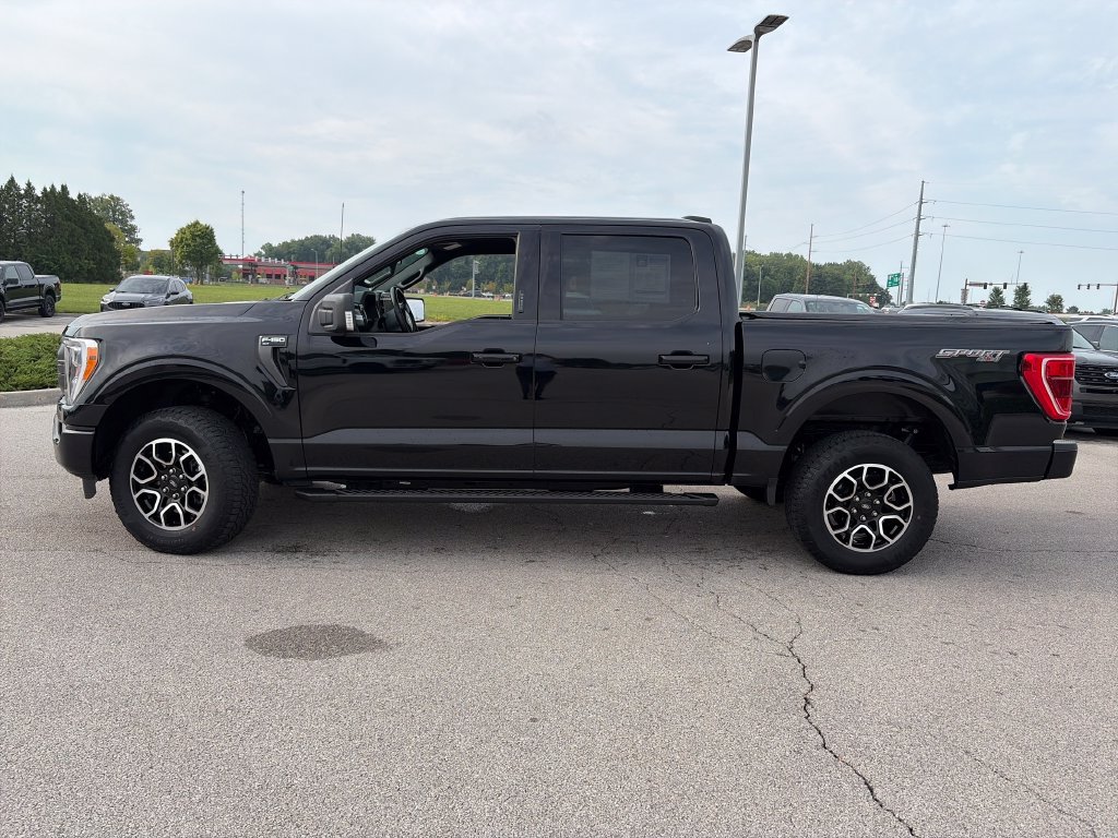 Used 2023 Ford F150 XLT w/ Equipment Group 302A High AWD/4WD image 4