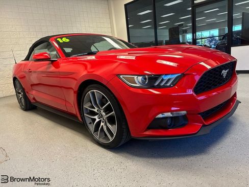 Used 2016 Ford Mustang Premium w/ Equipment Group 201A RWD image 1