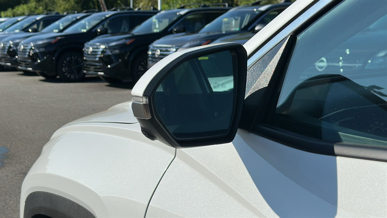 Used 2024 Hyundai Tucson Limited AWD/4WD image 12
