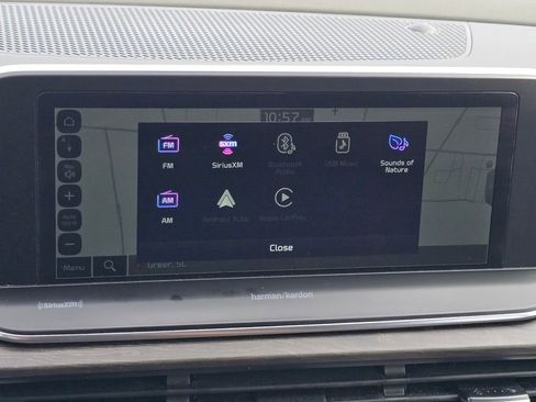 Used 2022 Kia Telluride SX w/ SX Prestige Package image 20